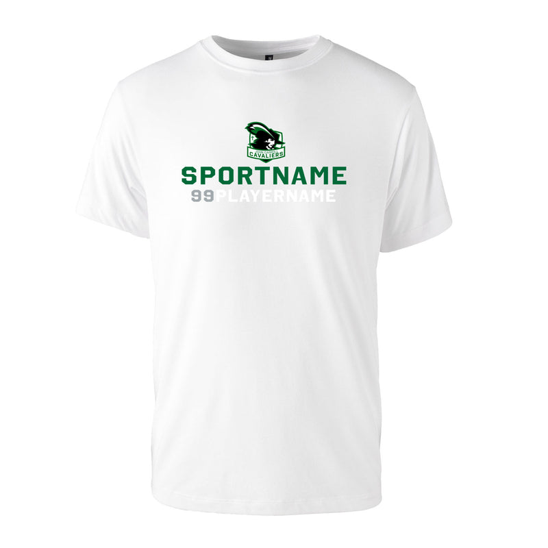 Men's Triblend T-Shirt - White - Logo Sport Name
